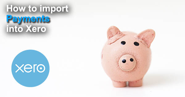 import payments to xero with business importer