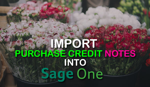 Import Purchase Credit Notes into Sage One